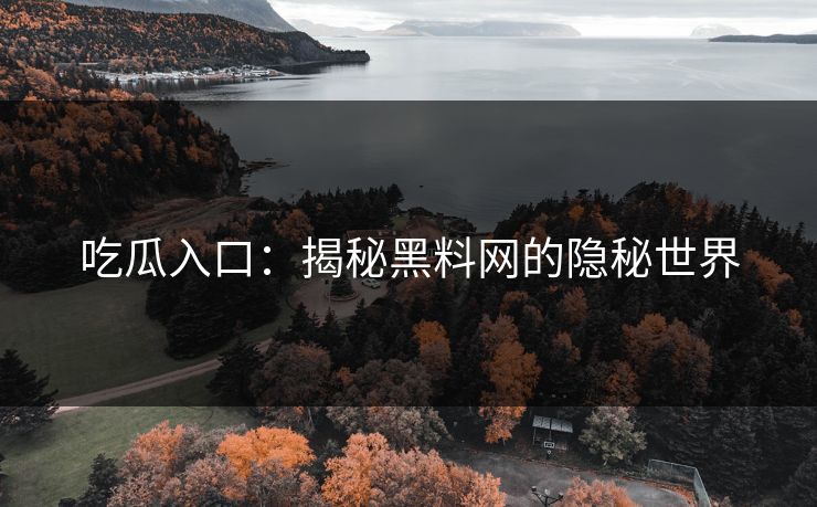 吃瓜入口：揭秘黑料网的隐秘世界  第1张