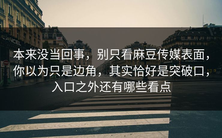 本来没当回事，别只看麻豆传媒表面，你以为只是边角，其实恰好是突破口，入口之外还有哪些看点  第1张