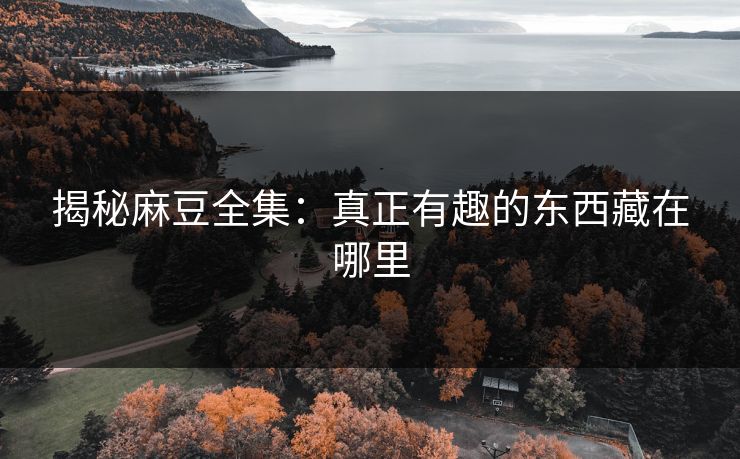 揭秘麻豆全集：真正有趣的东西藏在哪里  第1张
