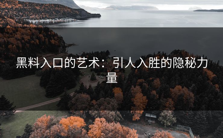 黑料入口的艺术：引人入胜的隐秘力量  第1张