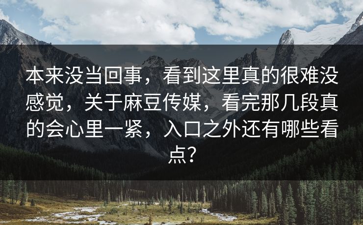 本来没当回事，看到这里真的很难没感觉，关于麻豆传媒，看完那几段真的会心里一紧，入口之外还有哪些看点？  第1张
