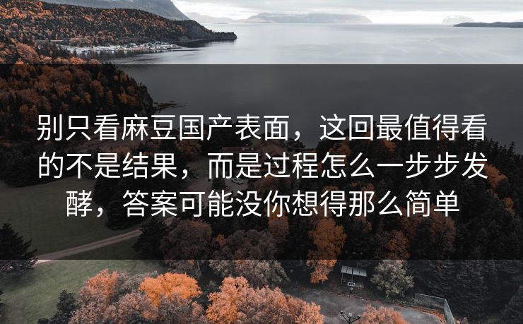 别只看麻豆国产表面，这回最值得看的不是结果，而是过程怎么一步步发酵，答案可能没你想得那么简单  第1张