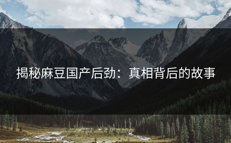揭秘麻豆国产后劲：真相背后的故事  第1张