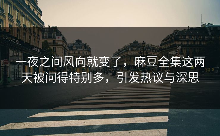一夜之间风向就变了,麻豆全集这两天被问得特别多,引发热议与深思 第1张 一夜之间风向就变了,麻豆全集这两天被问得特别多,引发热议与深思 第1张