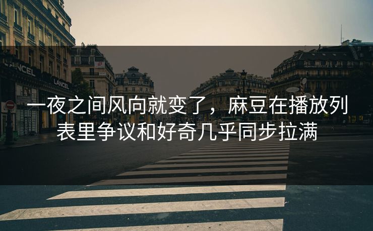一夜之间风向就变了，麻豆在播放列表里争议和好奇几乎同步拉满  第1张