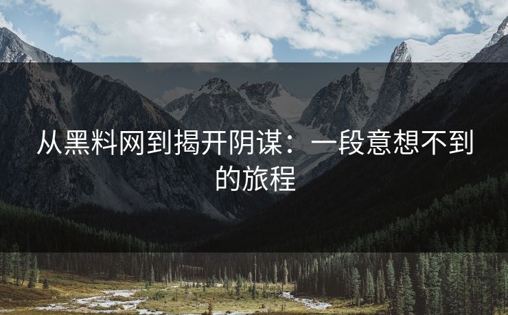 从黑料网到揭开阴谋：一段意想不到的旅程  第1张