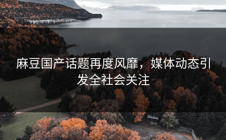 麻豆国产话题再度风靡，媒体动态引发全社会关注  第1张