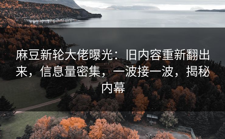 麻豆新轮大佬曝光：旧内容重新翻出来，信息量密集，一波接一波，揭秘内幕  第1张