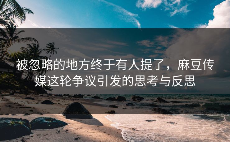 被忽略的地方终于有人提了，麻豆传媒这轮争议引发的思考与反思  第1张