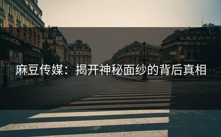 麻豆传媒：揭开神秘面纱的背后真相  第1张