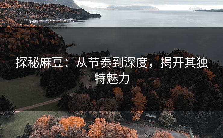 探秘麻豆：从节奏到深度，揭开其独特魅力  第1张