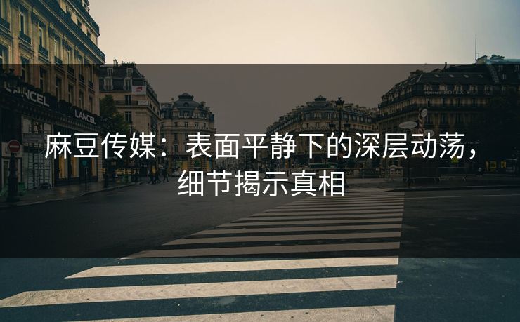 麻豆传媒：表面平静下的深层动荡，细节揭示真相  第1张